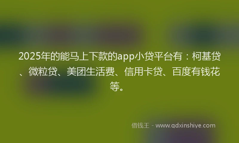 2025年的能马上下款的app小贷平台有：柯基贷、微粒贷、美团生活费、信用卡贷、百度有钱花等。