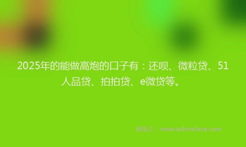 2025年的能做高炮的口子有：还呗、微粒贷、51人品贷、拍拍贷、e微贷等。