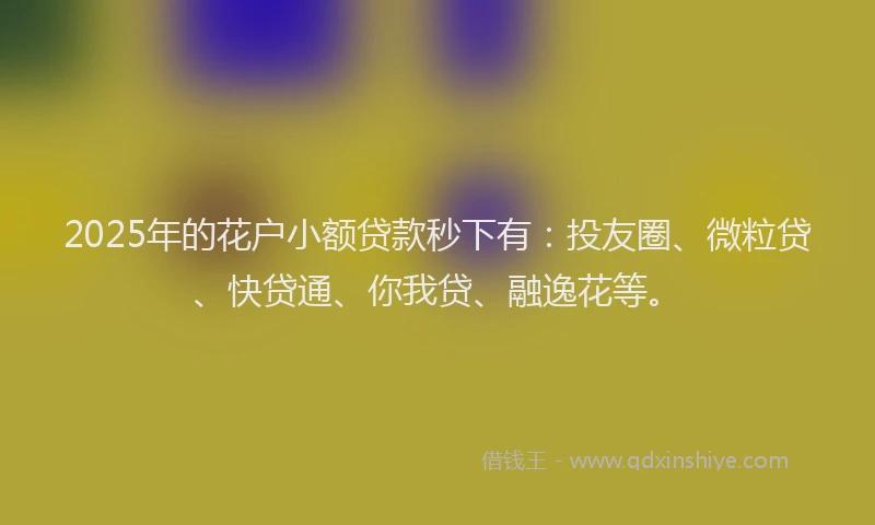2025年的花户小额贷款秒下有：投友圈、微粒贷、快贷通、你我贷、融逸花等。