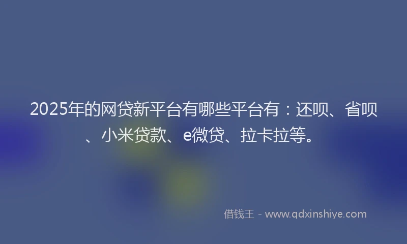 2025年的网贷新平台有哪些平台有：还呗、省呗、小米贷款、e微贷、拉卡拉等。