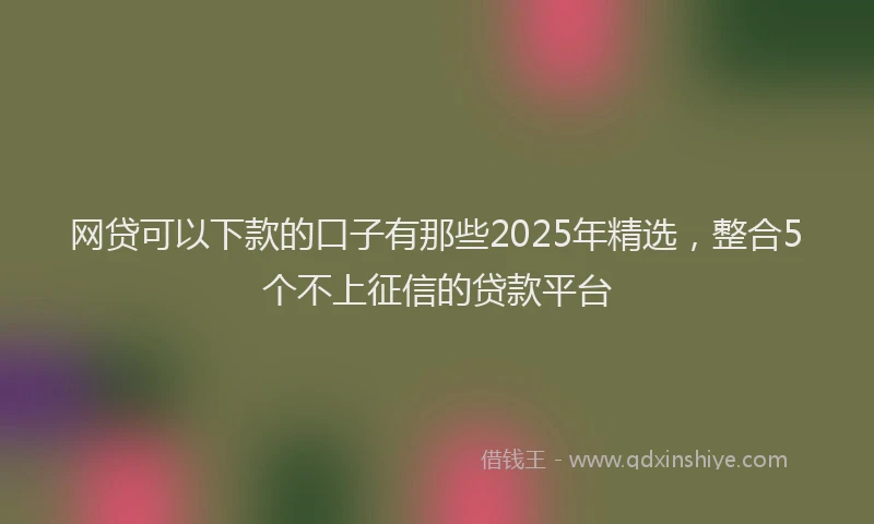 网贷可以下款的口子有那些2025年精选，整合5个不上征信的贷款平台