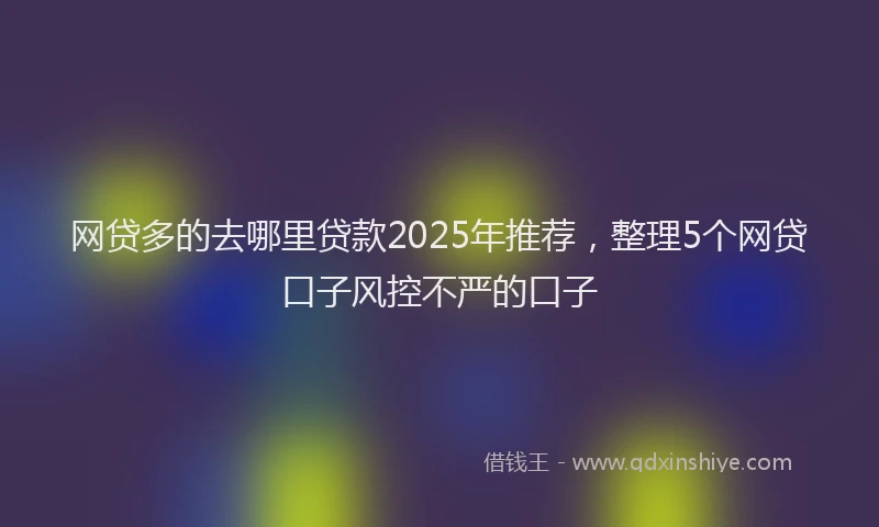 网贷多的去哪里贷款2025年推荐，整理5个网贷口子风控不严的口子