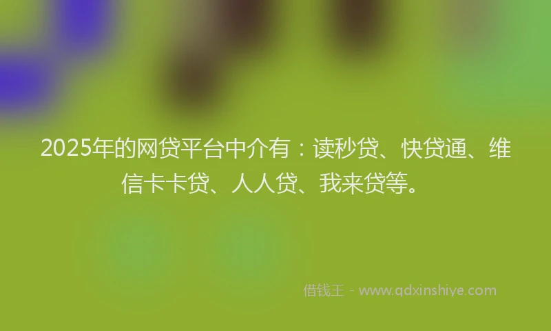 2025年的网贷平台中介有：读秒贷、快贷通、维信卡卡贷、人人贷、我来贷等。