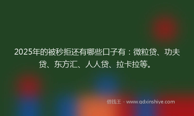 2025年的被秒拒还有哪些口子有：微粒贷、功夫贷、东方汇、人人贷、拉卡拉等。