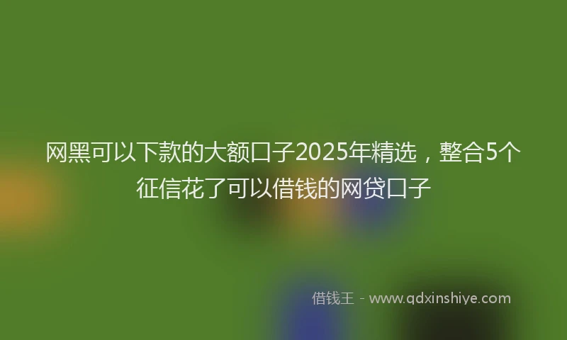 网黑可以下款的大额口子2025年精选，整合5个征信花了可以借钱的网贷口子