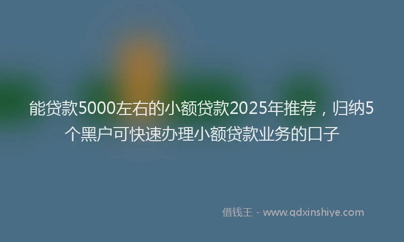 能贷款5000左右的小额贷款2025年推荐，归纳5个黑户可快速办理小额贷款业务的口子