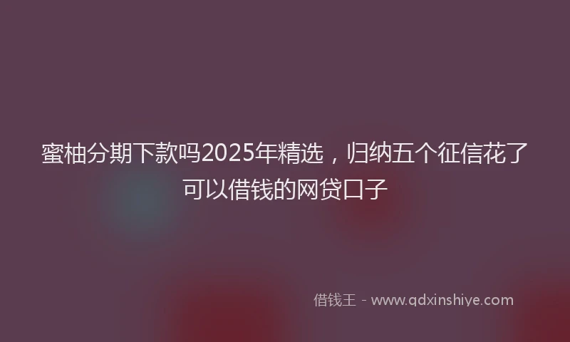 蜜柚分期下款吗2025年精选，归纳五个征信花了可以借钱的网贷口子