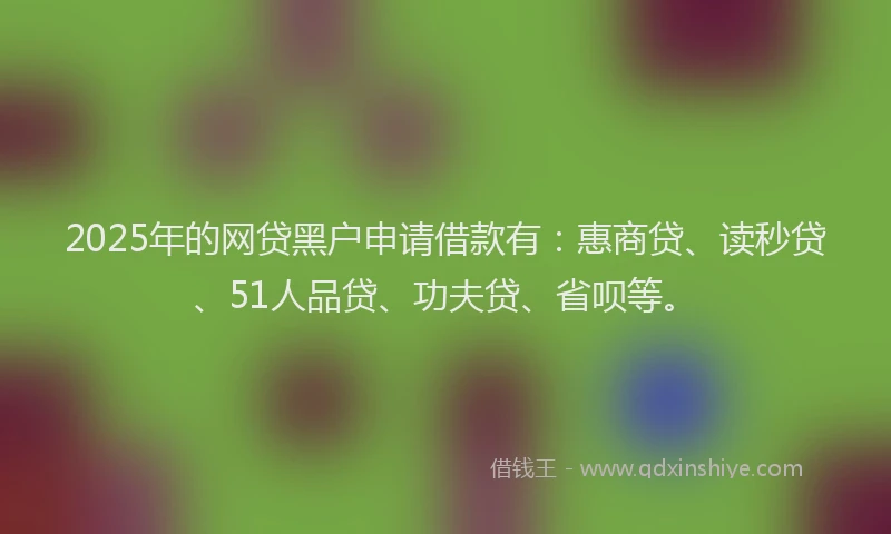 2025年的网贷黑户申请借款有：惠商贷、读秒贷、51人品贷、功夫贷、省呗等。