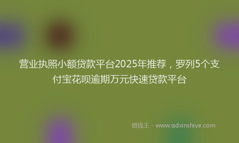 营业执照小额贷款平台2025年推荐，罗列5个支付宝花呗逾期万元快速贷款平台