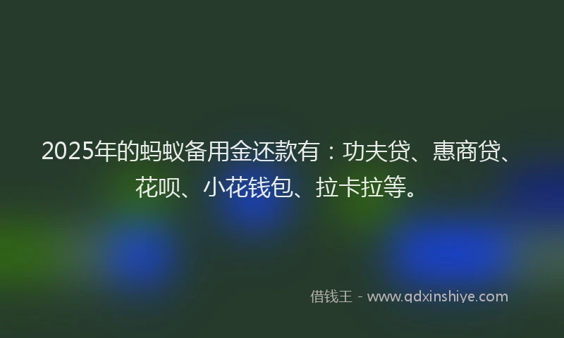 2025年的蚂蚁备用金还款有：功夫贷、惠商贷、花呗、小花钱包、拉卡拉等。
