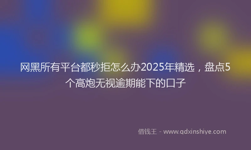网黑所有平台都秒拒怎么办2025年精选，盘点5个高炮无视逾期能下的口子