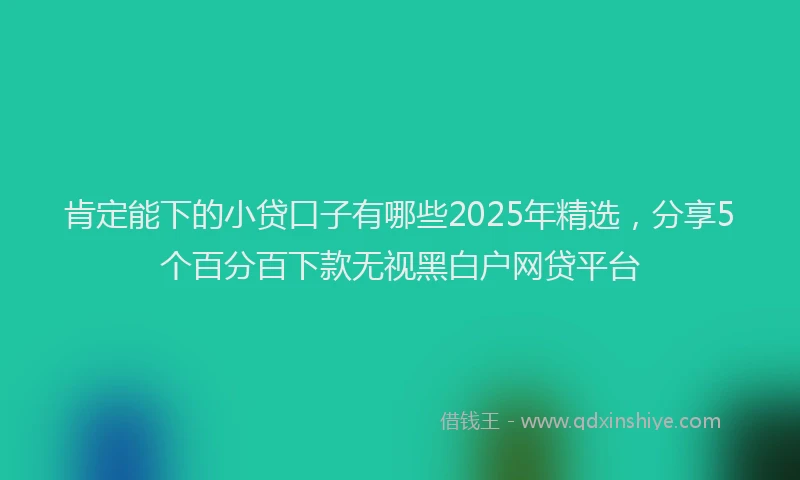肯定能下的小贷口子有哪些2025年精选，分享5个百分百下款无视黑白户网贷平台