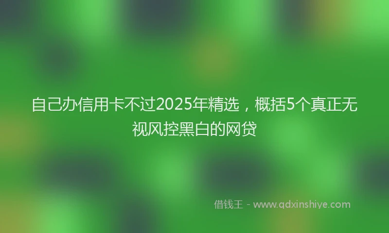 自己办信用卡不过2025年精选，概括5个真正无视风控黑白的网贷