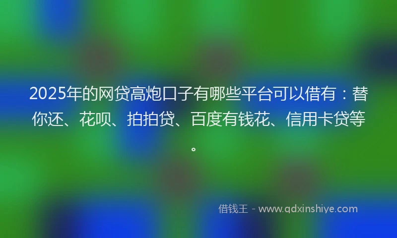 2025年的网贷高炮口子有哪些平台可以借有：替你还、花呗、拍拍贷、百度有钱花、信用卡贷等。