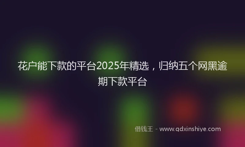 花户能下款的平台2025年精选，归纳五个网黑逾期下款平台