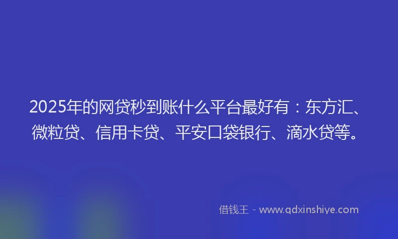 2025年的网贷秒到账什么平台最好有：东方汇、微粒贷、信用卡贷、平安口袋银行、滴水贷等。