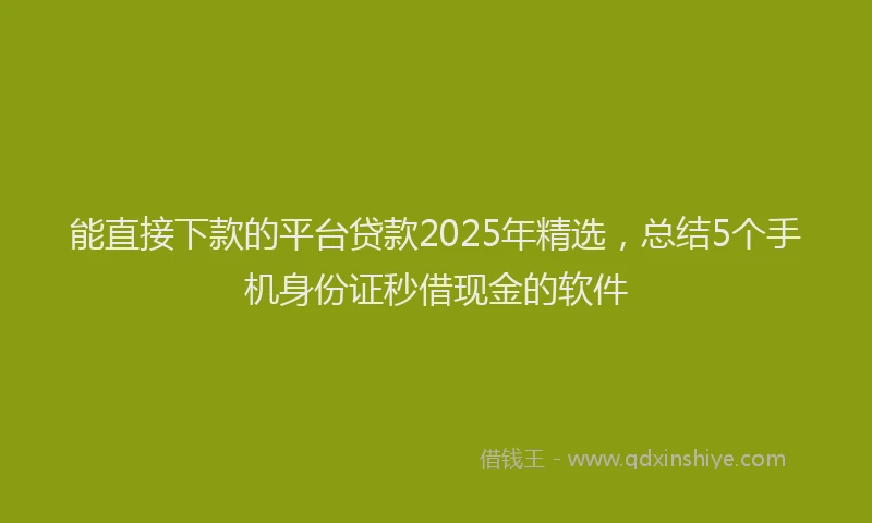 能直接下款的平台贷款2025年精选，总结5个手机身份证秒借现金的软件