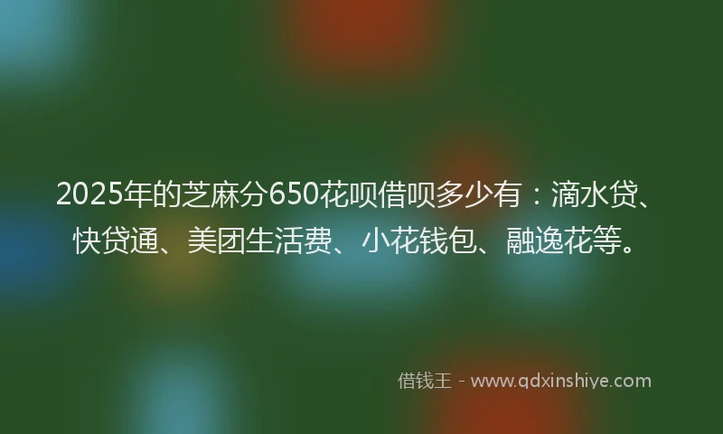 2025年的芝麻分650花呗借呗多少有：滴水贷、快贷通、美团生活费、小花钱包、融逸花等。