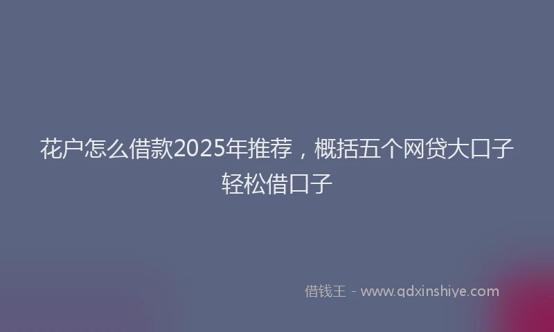 花户怎么借款2025年推荐，概括五个网贷大口子轻松借口子