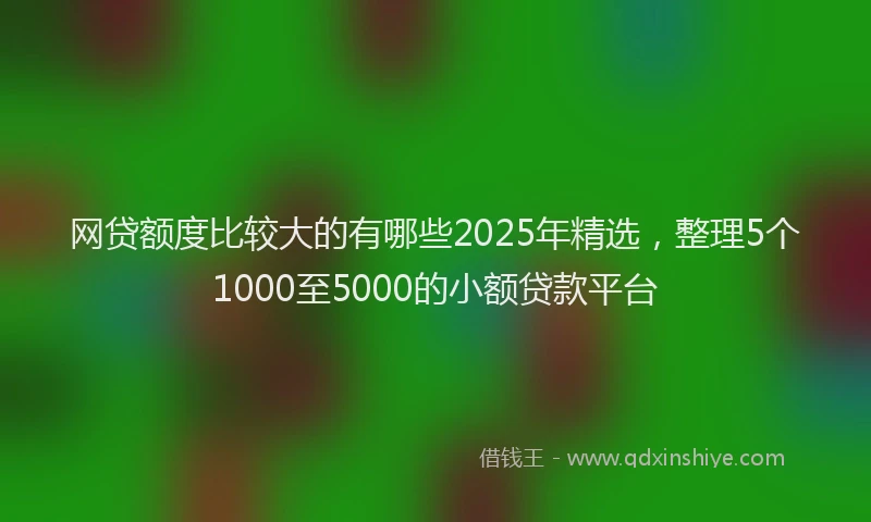 网贷额度比较大的有哪些2025年精选，整理5个1000至5000的小额贷款平台