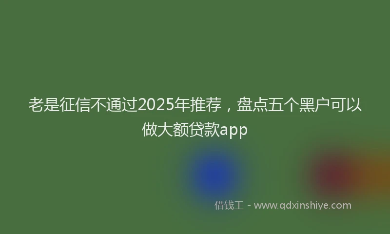 老是征信不通过2025年推荐，盘点五个黑户可以做大额贷款app