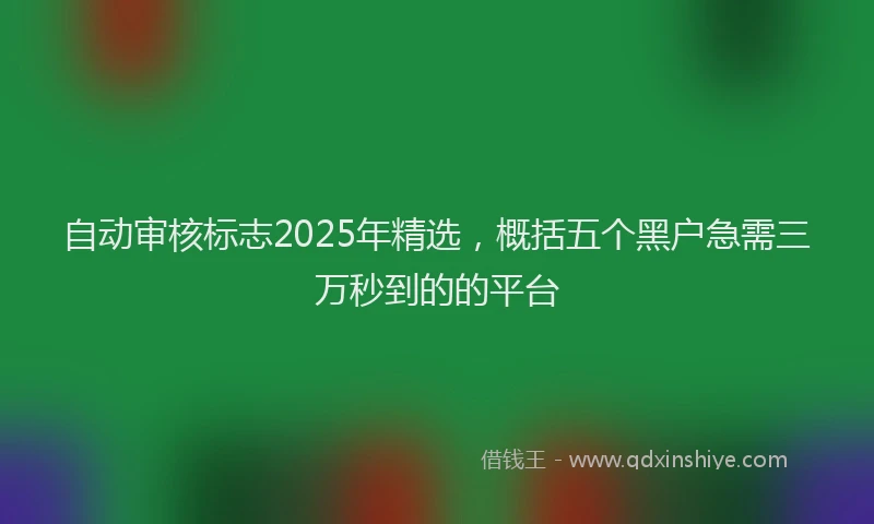 自动审核标志2025年精选，概括五个黑户急需三万秒到的的平台