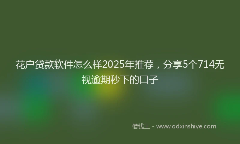 花户贷款软件怎么样2025年推荐，分享5个714无视逾期秒下的口子
