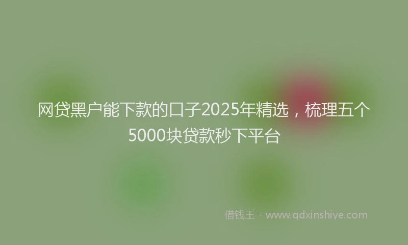 网贷黑户能下款的口子2025年精选，梳理五个5000块贷款秒下平台