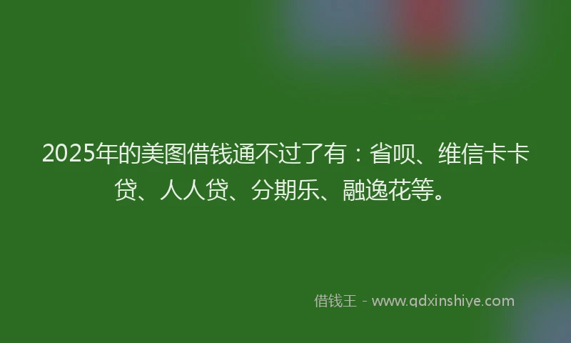 2025年的美图借钱通不过了有：省呗、维信卡卡贷、人人贷、分期乐、融逸花等。