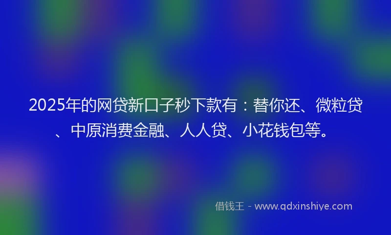2025年的网贷新口子秒下款有：替你还、微粒贷、中原消费金融、人人贷、小花钱包等。