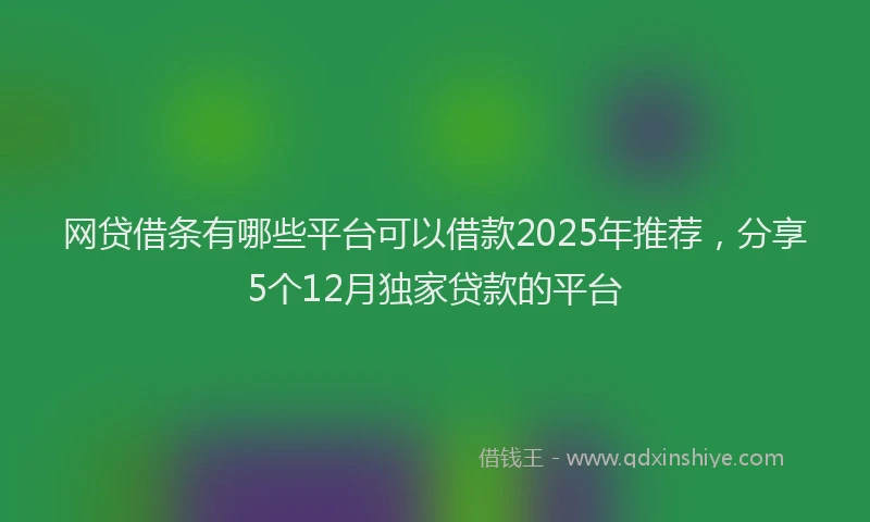 网贷借条有哪些平台可以借款2025年推荐，分享5个12月独家贷款的平台