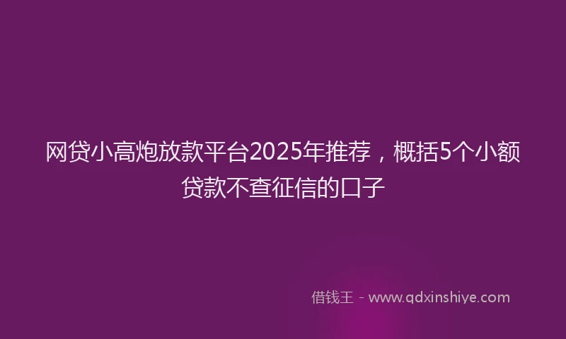 网贷小高炮放款平台2025年推荐，概括5个小额贷款不查征信的口子