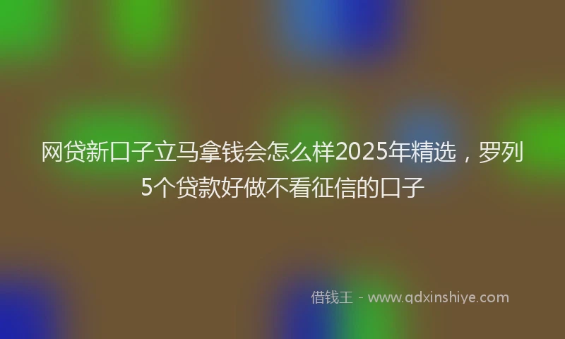 网贷新口子立马拿钱会怎么样2025年精选，罗列5个贷款好做不看征信的口子