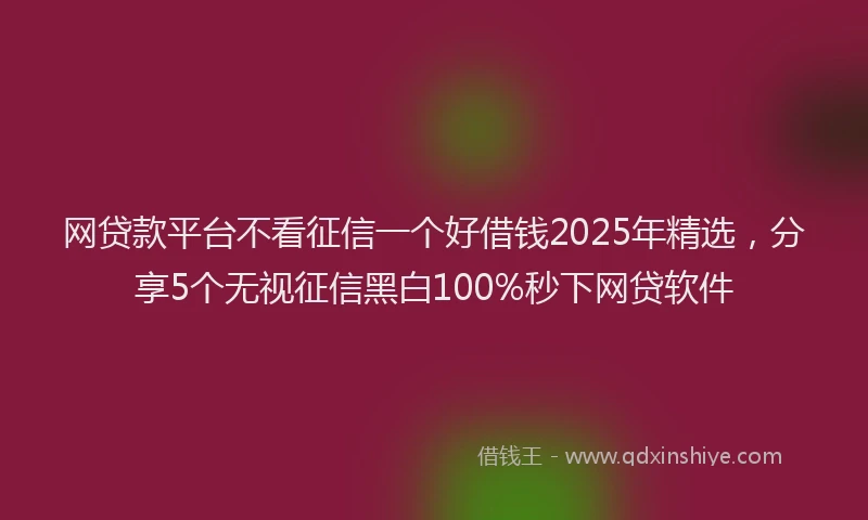 网贷款平台不看征信一个好借钱2025年精选，分享5个无视征信黑白100%秒下网贷软件