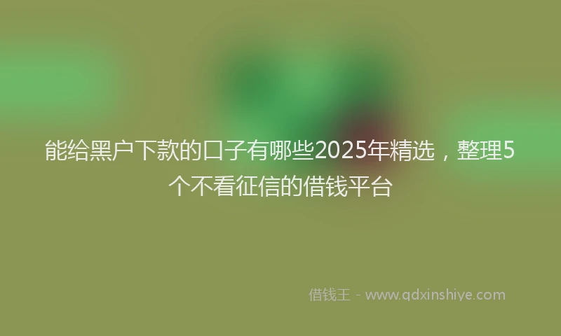 能给黑户下款的口子有哪些2025年精选，整理5个不看征信的借钱平台