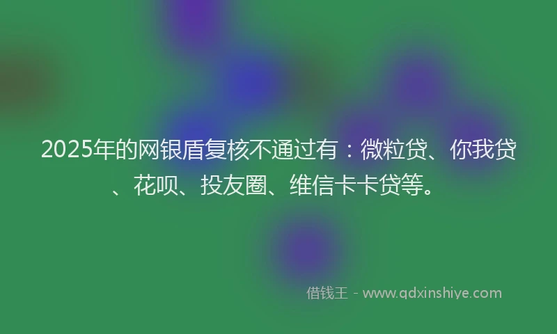 2025年的网银盾复核不通过有：微粒贷、你我贷、花呗、投友圈、维信卡卡贷等。
