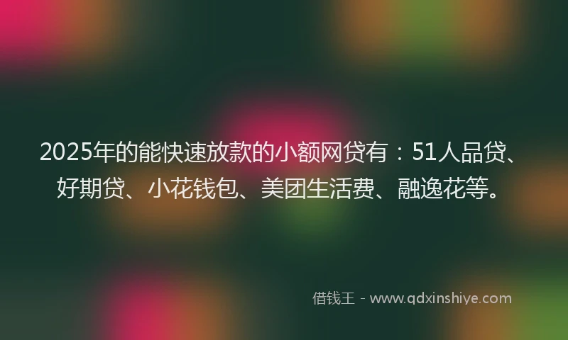 2025年的能快速放款的小额网贷有：51人品贷、好期贷、小花钱包、美团生活费、融逸花等。