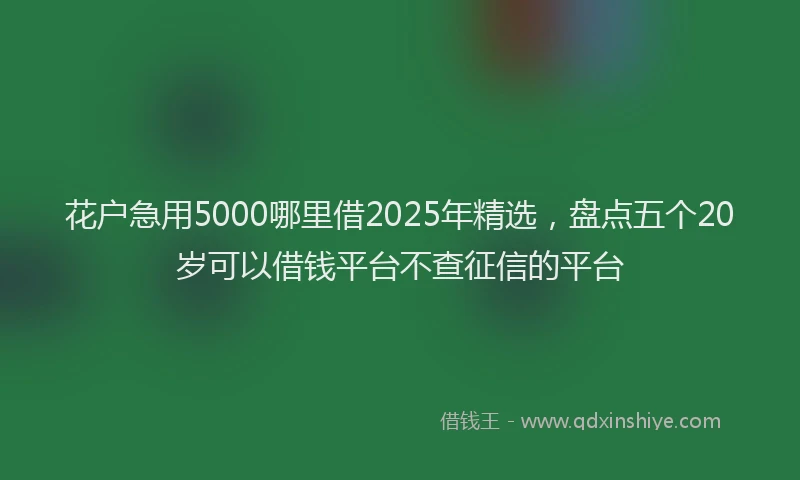 花户急用5000哪里借2025年精选，盘点五个20岁可以借钱平台不查征信的平台