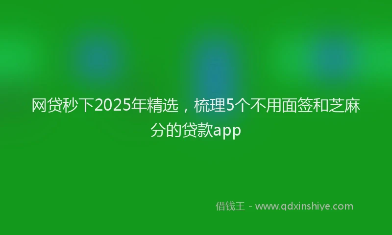 网贷秒下2025年精选，梳理5个不用面签和芝麻分的贷款app