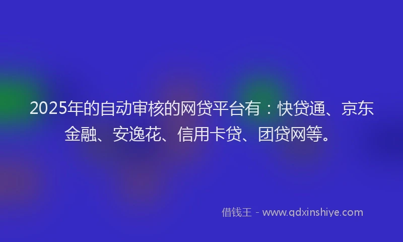 2025年的自动审核的网贷平台有：快贷通、京东金融、安逸花、信用卡贷、团贷网等。