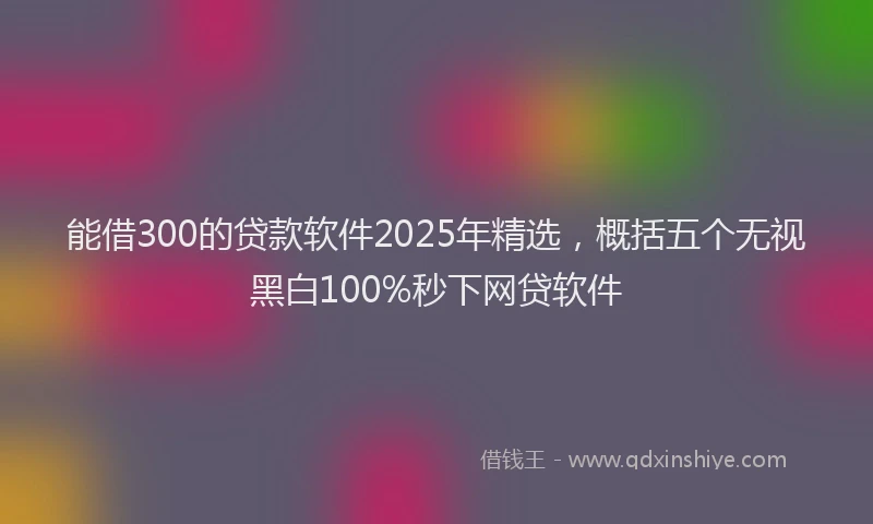 能借300的贷款软件2025年精选，概括五个无视黑白100%秒下网贷软件