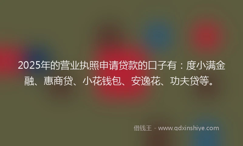 2025年的营业执照申请贷款的口子有：度小满金融、惠商贷、小花钱包、安逸花、功夫贷等。