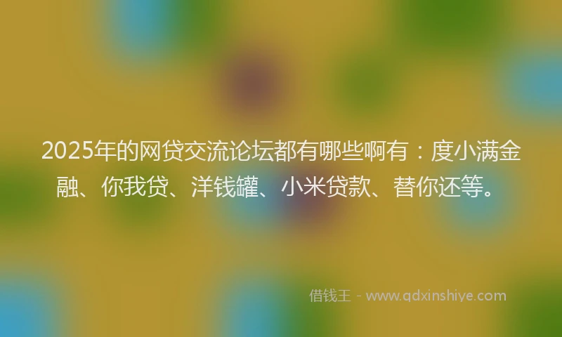 2025年的网贷交流论坛都有哪些啊有：度小满金融、你我贷、洋钱罐、小米贷款、替你还等。