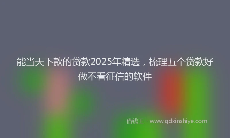 能当天下款的贷款2025年精选，梳理五个贷款好做不看征信的软件