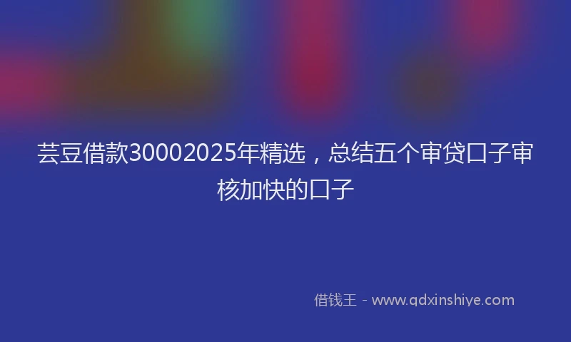 芸豆借款30002025年精选，总结五个审贷口子审核加快的口子