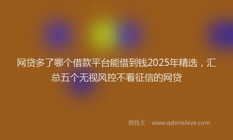 网贷多了哪个借款平台能借到钱2025年精选，汇总五个无视风控不看征信的网贷
