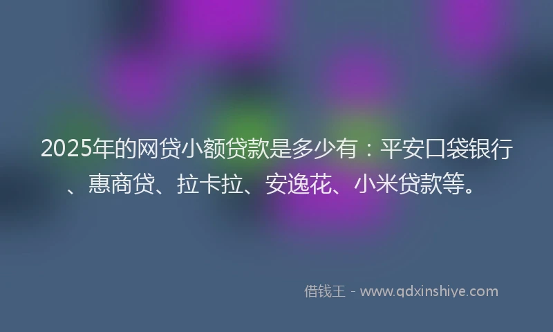 2025年的网贷小额贷款是多少有：平安口袋银行、惠商贷、拉卡拉、安逸花、小米贷款等。