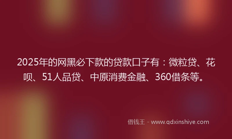 2025年的网黑必下款的贷款口子有：微粒贷、花呗、51人品贷、中原消费金融、360借条等。