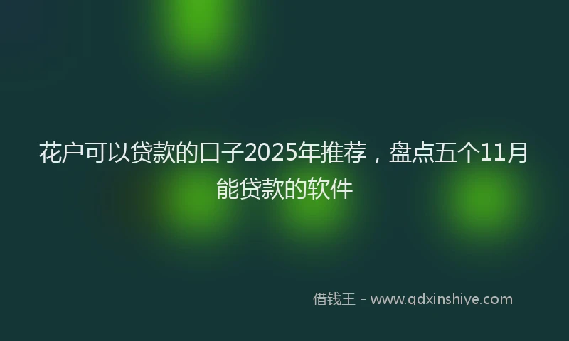 花户可以贷款的口子2025年推荐，盘点五个11月能贷款的软件