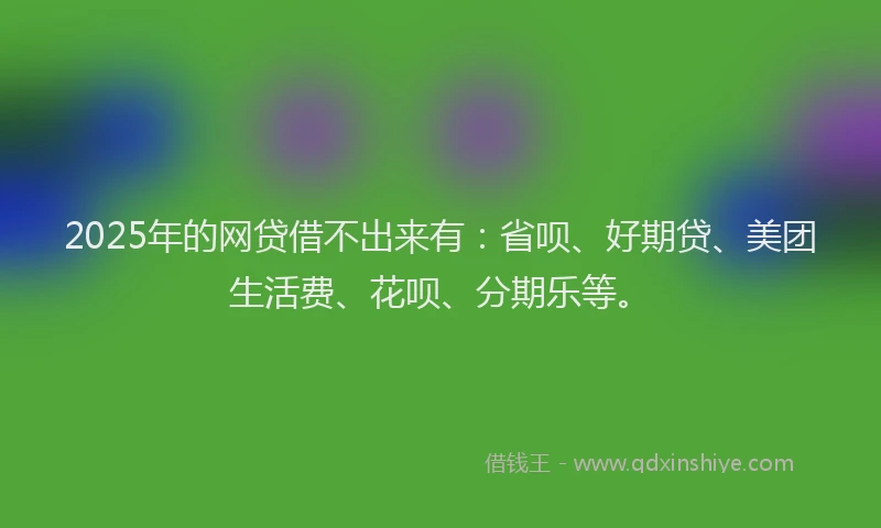 2025年的网贷借不出来有：省呗、好期贷、美团生活费、花呗、分期乐等。